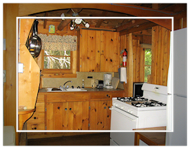 Jones Cabin kitchen